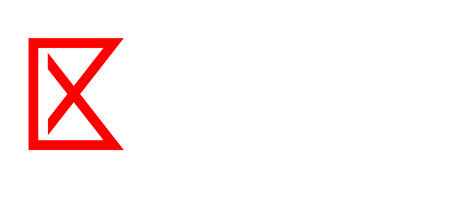 Bridexa logo